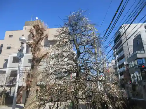 光源寺(東京都)