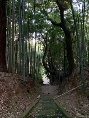 諏訪神社(千葉県)