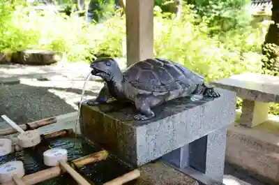 松尾大社の手水舎