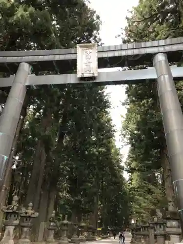 北口本宮冨士浅間神社の鳥居