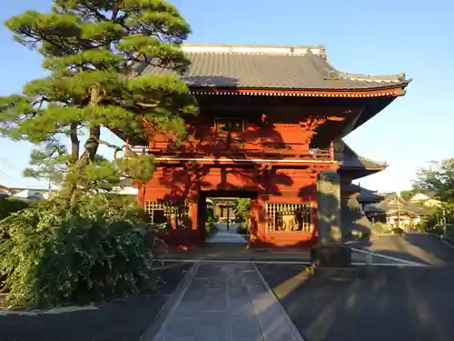 徳願寺の山門