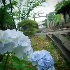 熊野神社の自然