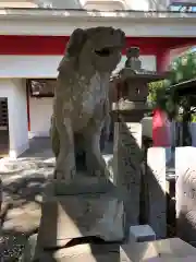 津田八幡神社の狛犬