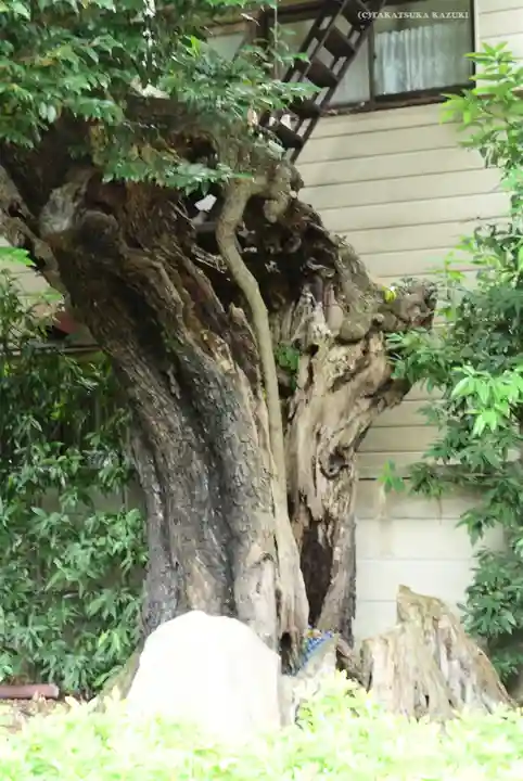 延命院(東京都)