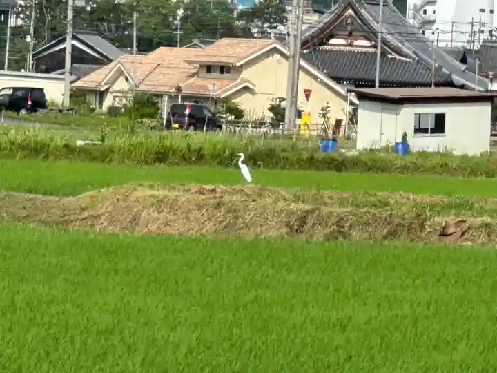 檜尾神社(滋賀県)