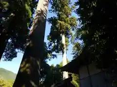 惣王神社(滋賀県)