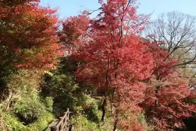 神應寺(京都府)