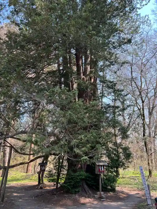 伊佐須美神社(福島県)