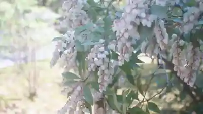 伊勢の国 四天王寺(三重県)
