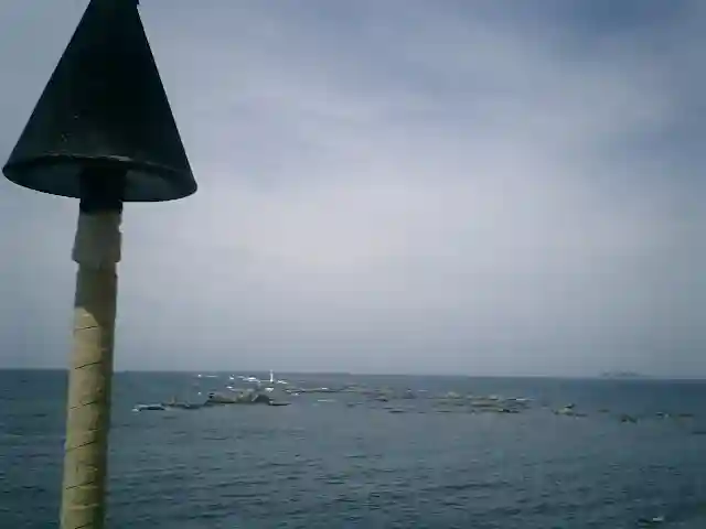 森戸大明神(森戸神社)の景色