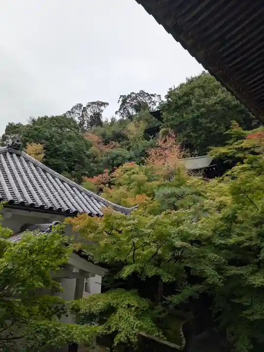 禅林寺(永観堂)(京都府)