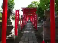 於菊稲荷神社の鳥居