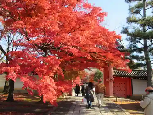 真正極楽寺（真如堂）(京都府)