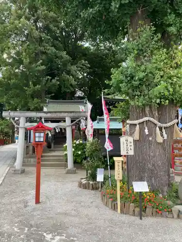 川越八幡宮(埼玉県)