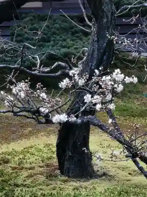 慈光院(奈良県)