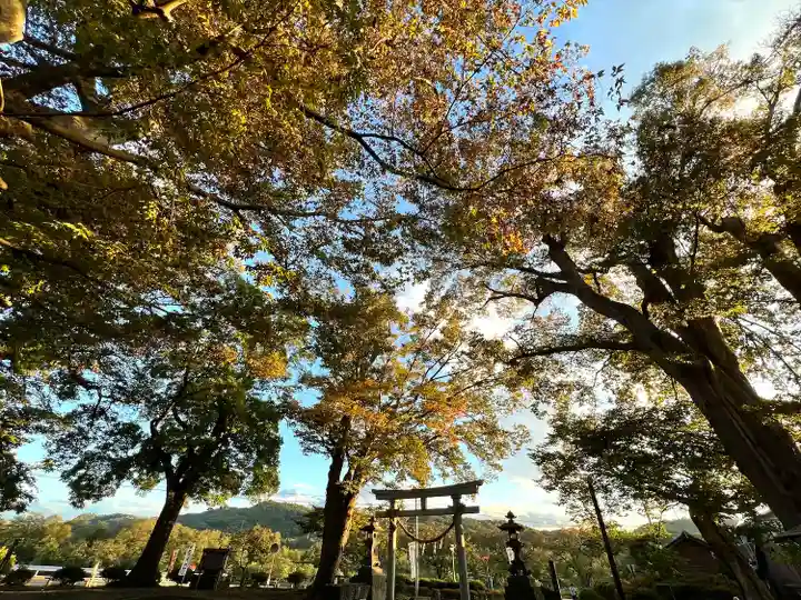 白鳥神社(長野県)
