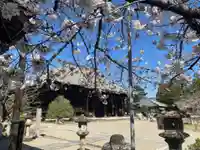 西大寺の本殿・本堂