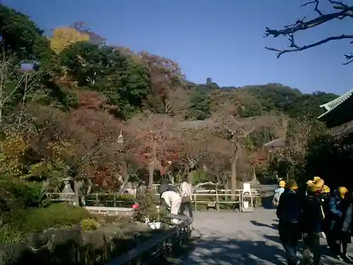 長谷寺のその他建物