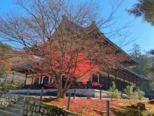 南禅寺のその他建物