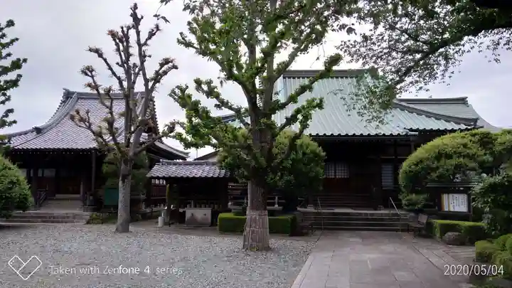 善能寺の本殿・本堂