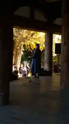 新宮熊野神社の本殿・本堂