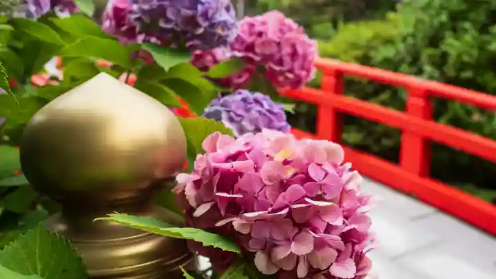宮城縣護國神社の自然