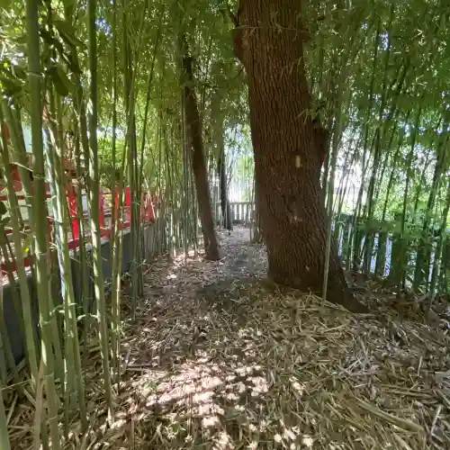 東神奈川熊野神社(神奈川県)