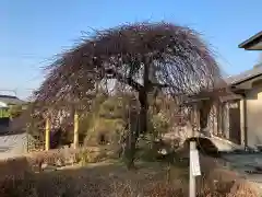 朝日森天満宮の庭園