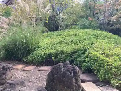 天妙国寺(東京都)