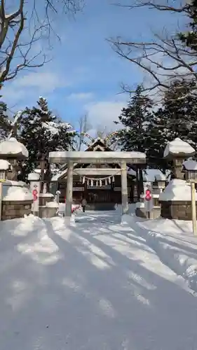 新琴似神社の初詣