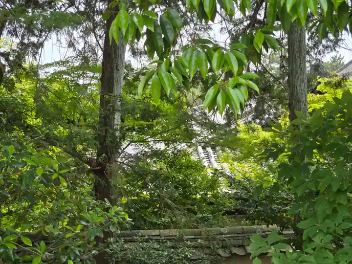 唐招提寺(奈良県)