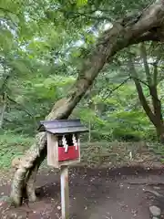 伊佐須美神社(福島県)