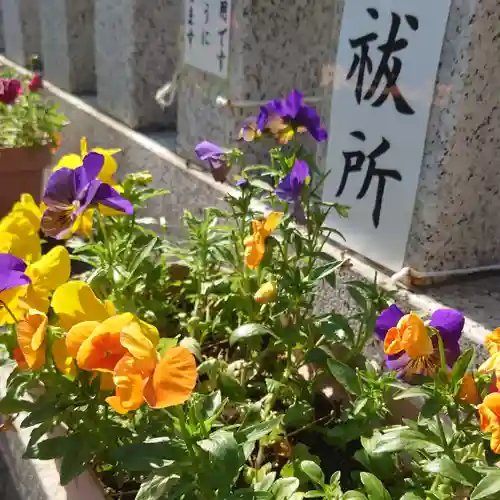 金神社の庭園