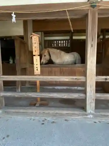 金刀比羅宮(香川県)