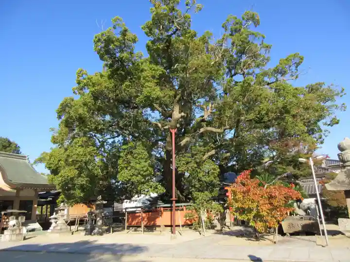 龍田神社のその他建物