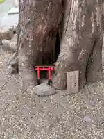 藤の森稲荷大神(兵庫県)