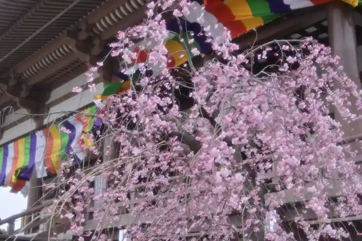 西新井大師総持寺(東京都)