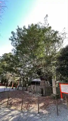 熊野速玉大社(和歌山県)