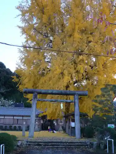 丹生酒殿神社の鳥居