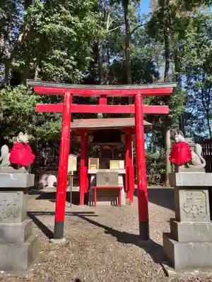 岩槻久伊豆神社(埼玉県)