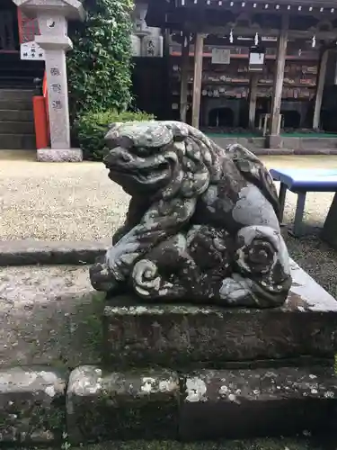 新田神社の狛犬