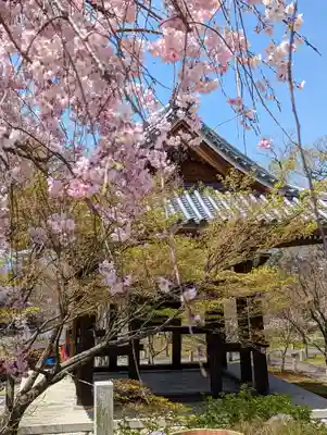  智積院(京都府)