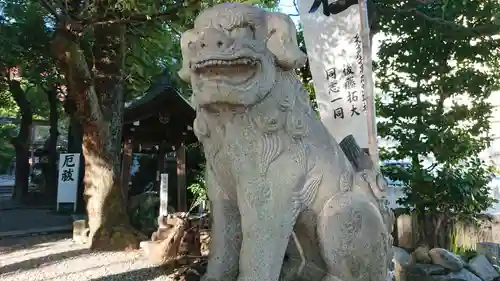 洲嵜神社の狛犬