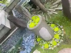 行田八幡神社の庭園