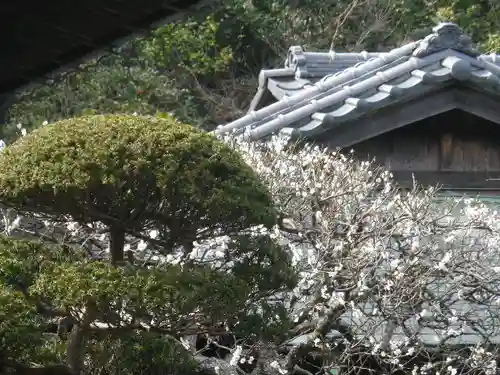 寿福寺の庭園