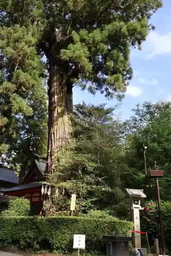 香取神宮(千葉県)