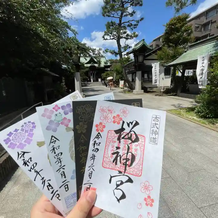 桜神宮の御朱印