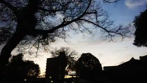 尾張大國霊神社（国府宮）の景色