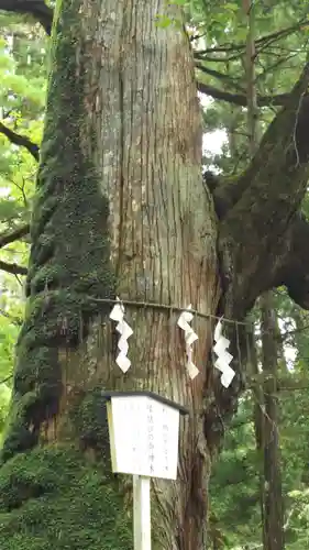 日光二荒山神社の自然