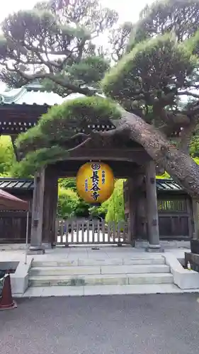 長谷寺の山門・神門